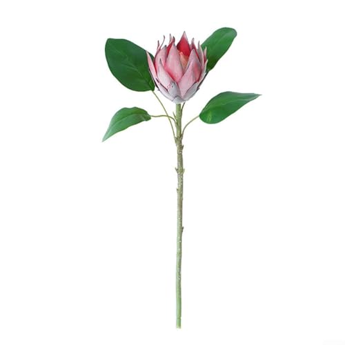 Anspruchsvoller DIY Seidenblumenstrauß von Protea Cynaroides Anlässe zu Hause oder Veranstaltungen (rot) von Niceminiwall