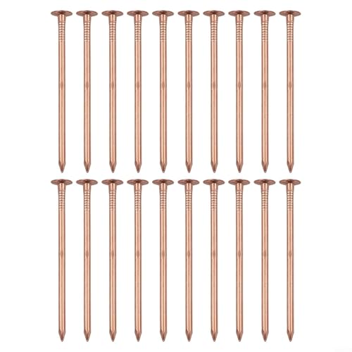 Effektive Nägel zum Entfernen von Kupferstumpfen, 65 mm, 20/30/40/50 Stück für effiziente Baumwurzelbeseitigung (B) von Niceminiwall