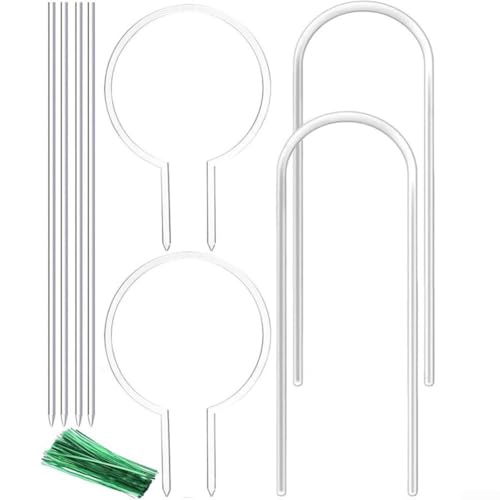 Pergola aus Acryl zur Unterstützung von Kletterpflanzen im Innen- und Außenbereich (B) von Niceminiwall