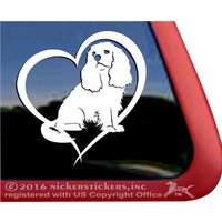 Cavalier King Charles Spaniel Love | Dc1045Hrt Hochwertige Klebefolie Fensteraufkleber von NickerStickers