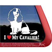 I Love My Cavalier | Dc1071Hea Hochwertige Klebefolie Cavalier King Charles Spaniel Fensteraufkleber Aufkleber von NickerStickers