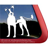 Ratterrier | Dc114Pl Hochwertige Klebefolie Fensteraufkleber von NickerStickers