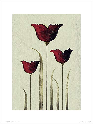 Nicola Evans Kunstdrucke, Papier, Mehrfarbig, 30 x 40 cm von トライエックス