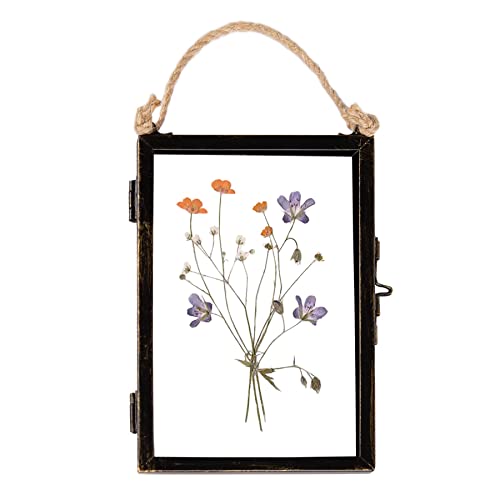 Nicola Spring Hanging Metall -Fotorahmen - 4" x 6" - Schwarz Nicola Spring Hanging Metall -Fotorahmen - 4" x 6" - Schwarz von Nicola Spring
