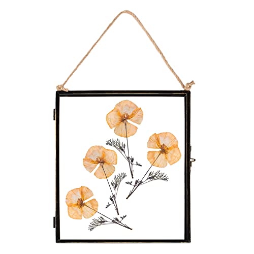 Nicola Spring Hanging Metall -Fotorahmen - 8" x 10" - Schwarz von Nicola Spring