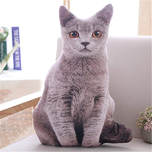 Nicole Knupfer 3D Zierkissen mit waschbarem Bezug, Cute Katze, Dekokissen, weiches Kopfkissen, Sofakissen Couchkissen Home Decoration, geeignet für Allergiker (A,70cm) von Nicole Knupfer