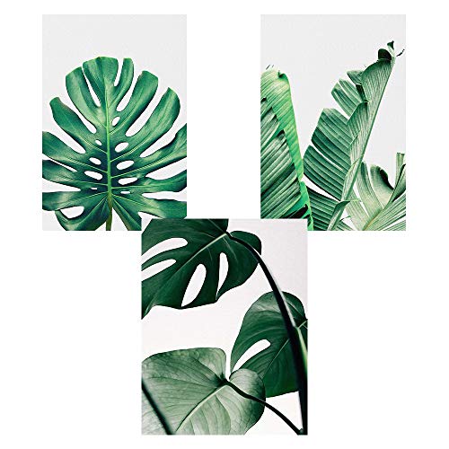 Nicole Knupfer 3er Set Poster Wandbilder,Grüne Monstera Blätter Bilder,Wand Deko für Wohn-Schlafzimmer, Wandposter Posterset Ohne Rahmen (B,21x30cm) von Nicole Knupfer