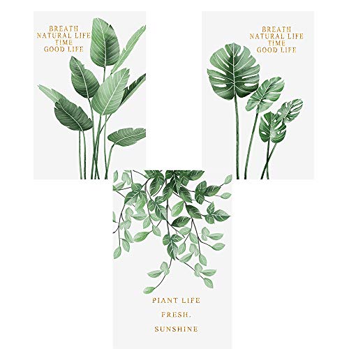 Nicole Knupfer 3er Set Poster Wandbilder,Grüne Monstera Blätter Bilder,Wand Deko für Wohn-Schlafzimmer, Wandposter Posterset Ohne Rahmen (C,21x30cm) von Nicole Knupfer