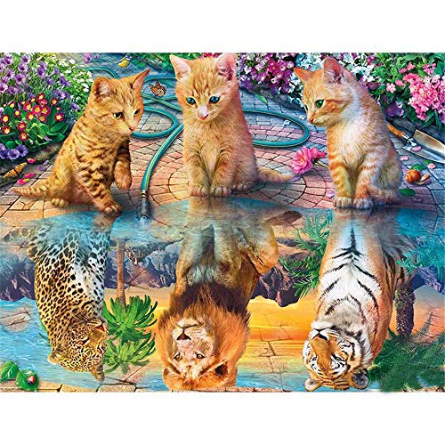 Nicole Knupfer 5D Diamant Malerei Set, Reflexion Katze DIY Diamond Painting Full Crystal Strass Stickerei Dekoration für Home Wall Büro Dekoration (40x50cm) von Nicole Knupfer