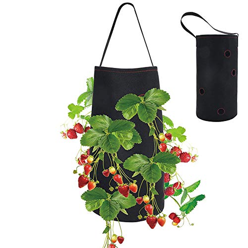 Nicole Knupfer Erdbeer-Pflanzbeutel, Hängend Erdbeeren Pflanztaschen aus Filz, Pflanzsack mit Löchern für Erdbeer & Tomaten (1Stück,Schwarz) von Nicole Knupfer