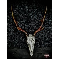 Auf Bestellung Echter Damhirsch Schädel Mit Gravur Design Skulptur Schnitzen Swirly Filigran Auf Halbem Gesicht Ornamente Maßgeschneiderte von NicoleBartkowiak