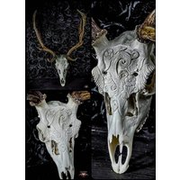 Auf Bestellung Echter Damhirsch Schädel Mit Gravur Design Skulptur Schnitzen Blumen Gedeihen Filigrane Rosen Ornamente Individuelle Geschenkidee von NicoleBartkowiak
