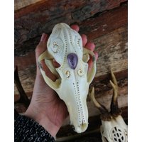 Gravierter Fuchsschädel Mit Amethyst Silberzähne Zur Verzierung von NicoleBartkowiak