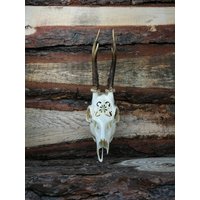 Gravierter Rehschädel Filigrane Ornamentzeichnung, Kopfschmuck Nach Maß von NicoleBartkowiak