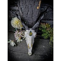 Sonderanfertigung - Echter Zackelschafschädel Mit Eingravierten Designornamenten Labradorit Filigran Schnecke Spirale Hörner Pest Brauch Sonderanfertigung - Echter Zackelschafschädel Mit Eingravierten Designornamenten Labradorit Filigran Schnecke Spirale Hörner Pest Brauch von NicoleBartkowiak