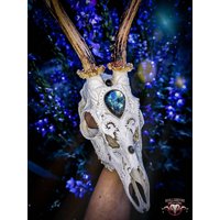 Made To Order Echter Reh-Schädel Blütenornamente Schnitzen Geschenk Freundin Filigraner Buck Einzigartiger Labradorit Peony Blätter Großes Geweih von NicoleBartkowiak