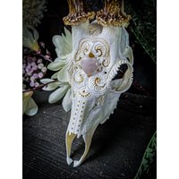 Made To Order Echter Reh Schädel Eindrucksvoll Schnörkel Ornamente Schnitzen Freundin Filigrane Buck Herz Rosa Quarz Valentinstag von NicoleBartkowiak