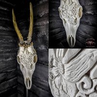 Made To Order Geschnitzte Rehschädel Dekoration Echte Knochen Carving Blumen Schnörkel Design Führte Blütenblätter Magnolie von NicoleBartkowiak