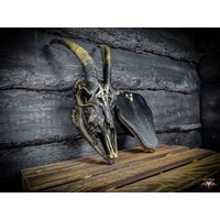 Made To Order Junger Ziegenschädel Mit Pentakel Pentagramm Graviert 666 Übel Suchen Geschenkidee Für Freund Oder Freundin Gothic von NicoleBartkowiak