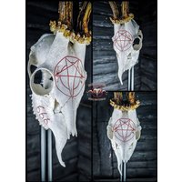 Made To Order Pentacle Rehschädel Graviert Riesige Beeindruckende Pentagramm 666 Böse Satan Carving Geschenk Freund Freundin Mutter Vater Bock von NicoleBartkowiak