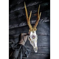 Schöne Echte Reh Schädel Eingraviert Filigrane Ornamente Design Und Baum Des Lebens Echten Amethyst Steinen Kreis Bestellen von NicoleBartkowiak