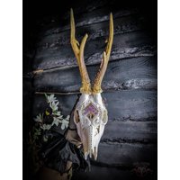 Made To Order Schöner Echter Rehschädel Eingraviert Filigrane Ornamente Design Und Baum Des Lebens Echte Amethyst Steine Starke Geweih Made To Order Schöner Echter Rehschädel Eingraviert Filigrane Ornamente Design Und Baum Des Lebens Echte Amethyst Steine Starke Geweih von NicoleBartkowiak