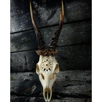 Rehschädel Graviert Mandala Ornament Carving Art Rehschädel Graviert Mandala Ornament Carving Art von NicoleBartkowiak