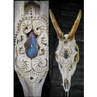 Totenkopf Carving Nicole Bartkowiak |Auf Bestellung Echte Reh Blüte Ornamente Geschenkidee Filigraner Rehbock Cabochon Blau Seltener Labradorit von NicoleBartkowiak