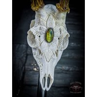 Totenkopf Carving Nicole Bartkowiak | Auf Bestellung Echte Reh Schädel Schnörkel Ornamente Geschenk Freundin Filigran Bock Stein Labradorit von NicoleBartkowiak