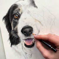 Hundeportrait Zeichnung Mit Farbstift Per Hand, Originalgetreu von NicoleTolksdorfKunst