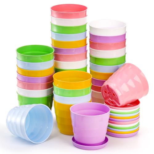 Nicunom 36 Pcs 10 cm Kunststoff Pflanze Blumentopf, Indoor Mini Blume Sämlinge Baumschule Topf mit Palette Bunte Bepflanzung Gartenarbeit Container Seed Starting Töpfe mit Drainageloch und Tablett von Nicunom