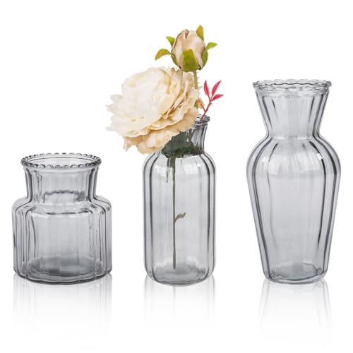 3 Stück kleine Glasvasen Mini Vasen für Tischdeko kleine Blumenvasen Set, Grau von Nideen