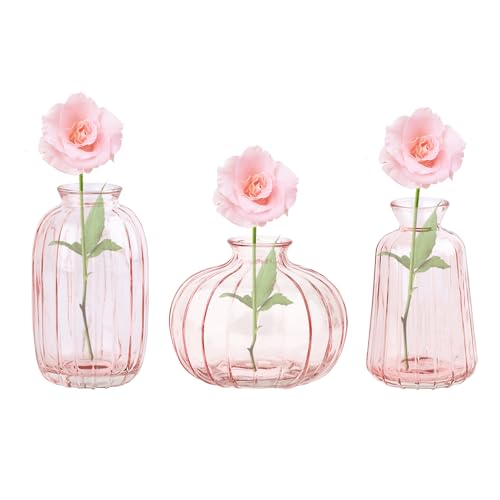 3er-Set Glasvase Kleine Vasen für Tischdeko, Deko Blumenvase Set für Hochzeit Tischdeko(Rosa) von Nideen