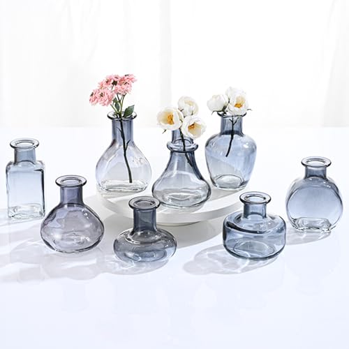 8 Stück Kleine Glasvasen für Tischdeko Mini Vasen Set, Grau von Nideen