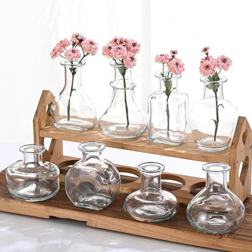 8 Stück Kleine Glasvasen für Tischdeko Mini Vasen Set, Klar von Nideen