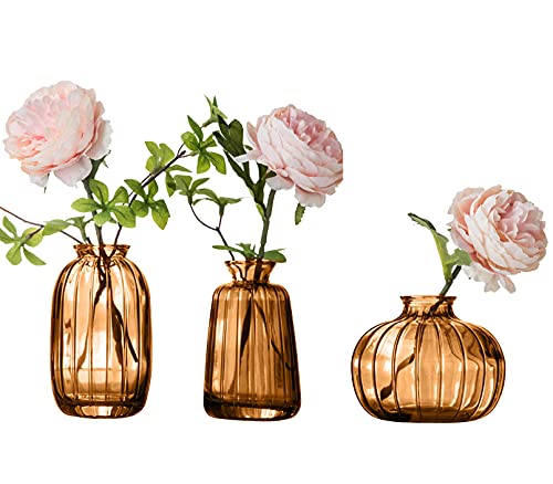 Kleine Glasvase 3er Set für Blumen Knospenvase Mini Vase Set für Tischdekoration Home Decor Braun von Nideen