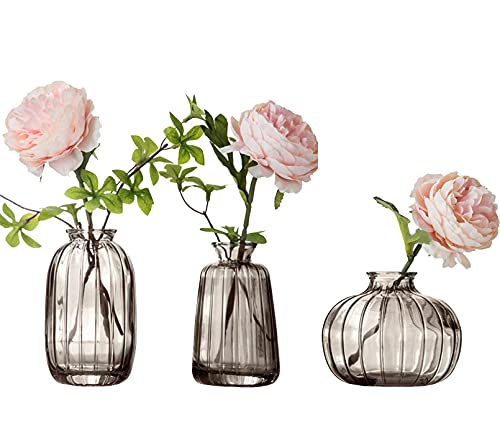 Kleine Glasvase 3er Set für Blumen Knospenvase Mini Vase Set für Tischdekoration Home Decor Grau von Nideen