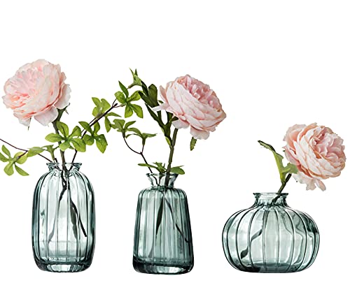 Kleine Glasvase 3er Set für Blumen Knospenvase Mini Vase Set für Tischdekoration Home Decor Grün von Nideen