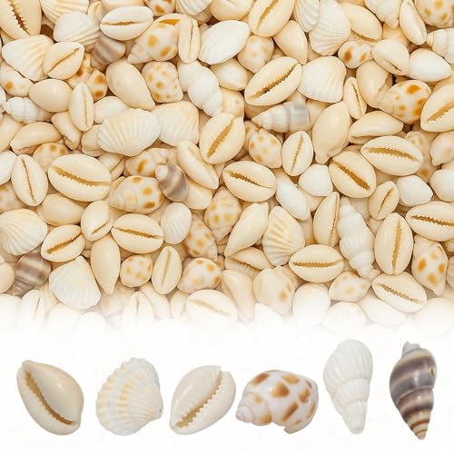 Muscheln Zum Basteln, 120 Stück Muscheln Deko Mit Loch, 6 Styles, Natürliche Muscheln Für Armbänder, Hochzeitsdekoration, Aquarium Deko, 9-27,5 mm Muscheln Zum Basteln, 120 Stück Muscheln Deko Mit Loch, 6 Styles, Natürliche Muscheln Für Armbänder, Hochzeitsdekoration, Aquarium Deko, 9-27,5 mm von NieYat