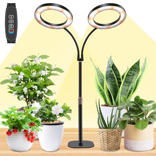 Growlampe für Zimmerpflanzen,LED-Pflanzenlampe mit zwei Köpfen für den Schreibtisch,Höhenverstellbar, Auto on/off-Timer mit 3/9/12 Stunden,10-Stufen-Helligkeit,ideal für kleine Pflanzen wachsen Growlampe für Zimmerpflanzen,LED-Pflanzenlampe mit zwei Köpfen für den Schreibtisch,Höhenverstellbar, Auto on/off-Timer mit 3/9/12 Stunden,10-Stufen-Helligkeit,ideal für kleine Pflanzen wachsen von Niello