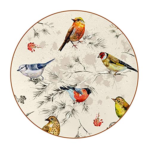 Untersetzer für Getränke,Leder Untersetzer 6er Set,Farbiger Vogel,Untersetzer für Tassen Home Kitchen Decor von NigelMu