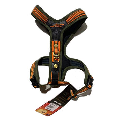 Niggeloh Hundeführgeschirr Follow, Orange-Oliv, S, 101100020 Niggeloh Hundeführgeschirr Follow, Orange-Oliv, S, 101100020 von Niggeloh