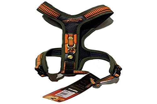Niggeloh Hundeführgeschirr Follow, Orange-Oliv, XS, 051100006 Niggeloh Hundeführgeschirr Follow, Orange-Oliv, XS, 051100006 von Niggeloh