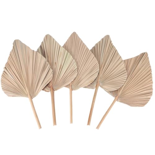 Nihcora Raumdekoration Aus Getrockneten PalmbläTtern, 5 StüCk - 45,7 cm H X 25,4 cm B. GroßE NatüRliche Palmblatt-Dekoration für Einen SchöNen Boho-Look Nihcora Raumdekoration Aus Getrockneten PalmbläTtern, 5 StüCk - 45,7 cm H X 25,4 cm B. GroßE NatüRliche Palmblatt-Dekoration für Einen SchöNen Boho-Look von Nihcora