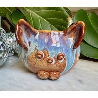 Niedliche Indoor Keramik Katze Pflanzer Niedliche Indoor Keramik Katze Pflanzer von Nikacreations