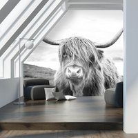Papier Peint Vache Highland/Bétail Campagne Écossaise Gros Plan Noir Et Blanc von NikkelArtcom