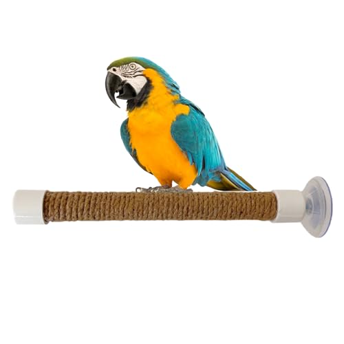 Saugnapf Vogel Sitzstange,Ständer Für Sittiche In Der Dusche - Vogel Sitzstange Mit Saugnapf Tragbares Käfig Zubehör Für Kakadus Und Sittiche Training Und Fenster Spiegel Saugnapf Vogel Sitzstange,Ständer Für Sittiche In Der Dusche - Vogel Sitzstange Mit Saugnapf Tragbares Käfig Zubehör Für Kakadus Und Sittiche Training Und Fenster Spiegel von Niktule