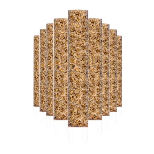 Nils der Pflanzenfreund® Moosstab [PlantScraper] 35 cm (M) / 10 Stück/Klar | Pflanzenstab | Moss Pole | Rankstab | Moosstange erweiterbar | Moosstäbe | Plant Pole Indoor | Moosstab für Monstera von Nils der Pflanzenfreund