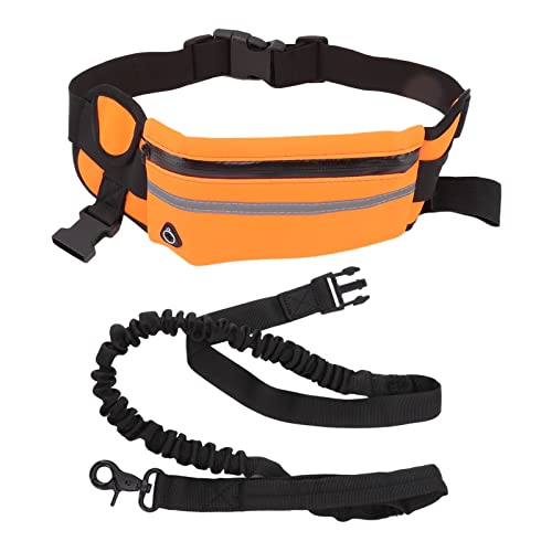 Für Hände, für Hunde -Leinen Fanny Pack, Nylon Bungee, für Nachtläufe und Gehen (Orange) von NinGYiYan