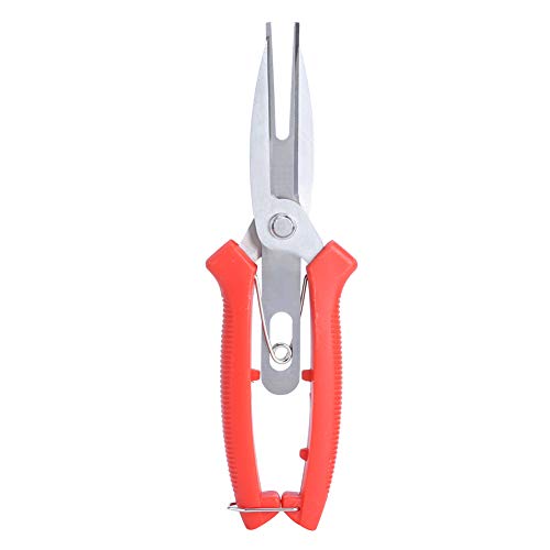 Zur Gartenschere, Edelstahl -Schnittschere - Pflanzenbaumzweigblüten -Pruner -Werkzeuge für die Gartenarbeit Zur Gartenschere, Edelstahl -Schnittschere - Pflanzenbaumzweigblüten -Pruner -Werkzeuge für die Gartenarbeit von NinGYiYan